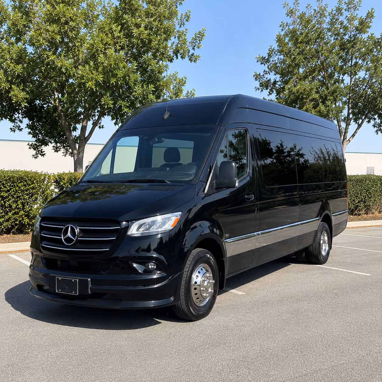 scottsdale sprinter van with driver
